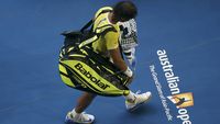 Verdasco Singkirkan Rafael Nadal