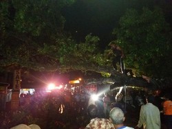 Pohon Tumbang di Banyumas Tutup Jalan Utama Jakarta-Yogyakarta