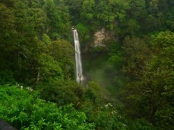 Curug Cimahi, Wisata Alam nan Segar di Bandung