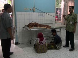 Dua Pasien RSU Soetomo Meninggal Terkena Demam Berdarah