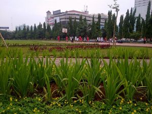 Simpang Lima Semarang Makin Indah, Tukang Selfie Diharap Tidak Injak Bunga