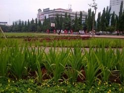 Simpang Lima Semarang Makin Indah, Tukang Selfie Diharap Tidak Injak Bunga