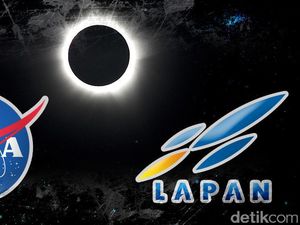 Peneliti Astronomi Dunia Berkumpul di Maba Pantau Gerhana Matahari Total