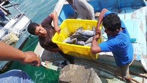 Semangat Para Nelayan di Buton
