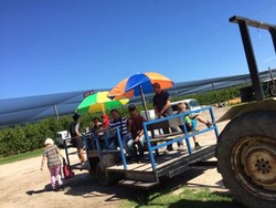 Canoeland, Seperti Ini Mekarsari-nya Australia