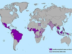 Infeksi Zika di Colombia Berlanjut, Diprediksi Mencapai 700 Ribu Kasus
