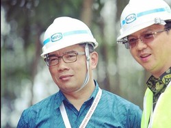 Ini Elektabilitas Para Calon Pesaing Ahok di Pilgub DKI