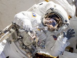 Ngeri! Astronaut Bisa Jadi Kanibal di Antariksa Ngeri! Astronaut Bisa Jadi Kanibal di Antariksa