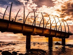 Dermaga di Afrika Selatan yang Mirip Tulang Paus Raksasa