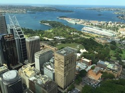Serasa Jadi Burung Saat Berdiri di Atas Sydney Tower Eye