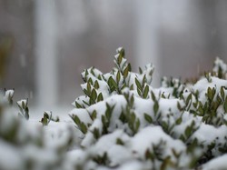 27 Anak Tewas Akibat Cuaca Dingin Ekstrem di Afghanistan