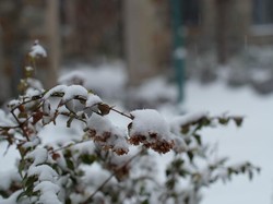 Cuaca Dingin di Afghanistan Menggila, Lebih dari 100 Orang Tewas