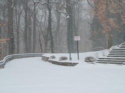 6 Orang Tewas Akibat Longsor Salju di Austria