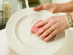 Kapan Spons Cuci Piring Perlu Diganti dengan yang Baru?