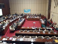 Dikhawatirkan Jadi Seperti Sanusi, Komisi IV DPR: Ahok Jangan Menuduh