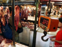 Ini Solusi Pedagang Agar Harga Daging Sapi Turun