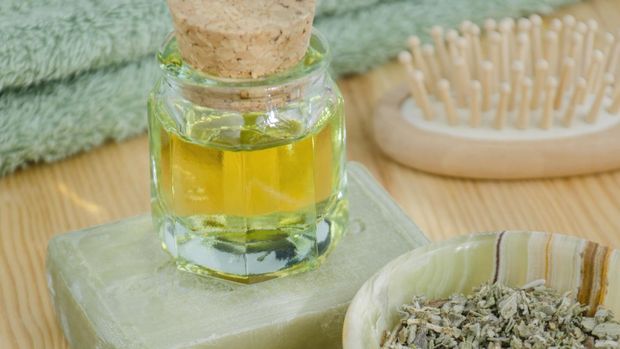 9 Bahan yang Bisa Usir Semut di Dapur