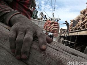 Jokowi Ingin Harga Semen di Papua Jadi Rp 70.000, Ini Caranya