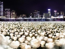 Valentine di Hong Kong, Ada Lautan Mawar yang Menyala Saat Malam!