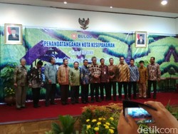 Tugas Bulog Ditambah, Amankan 11 Komoditas Selain Beras