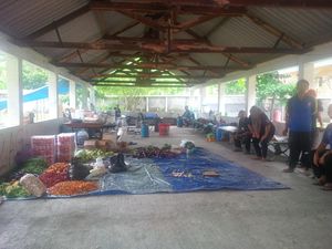 4 Orang Eks Anggota Gafatar Tiba di Yogya, ini Lokasi Penampungannya