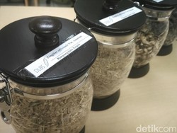 Kaya Keanekaragaman Hayati, RI Tak Perlu Impor Bahan Baku Obat Herba