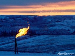 Minyak Anjlok, Chevron Pangkas 1.200 Karyawan