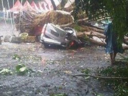 Pohon Tumbang Timpa Mobil, Pengemudi Selamat