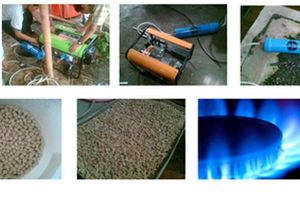 Zeofilter, Pembersih Zat Pengotor Biogas Temuan LIPI