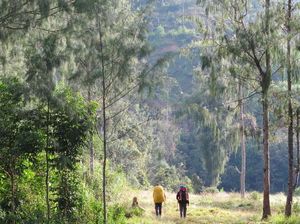 #savepapua Trending, Perusahaan Korsel Diduga Bakar Hutan Nyaris Seluas Seoul #savepapua Trending, Perusahaan Korsel Diduga Bakar Hutan Nyaris Seluas Seoul