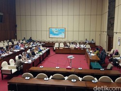 Produsen Pakan Ternak ke Mentan: Jangan Hanya Lindungi Petani, Peternak Juga