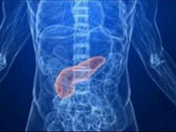 Ketahui Fungsi Enzim Amilase dalam Sistem Pencernaan Manusia