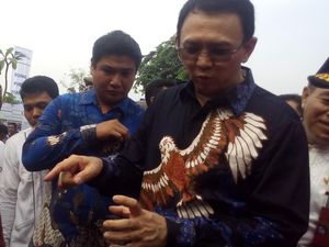 Ahok: Kasihan, 96 Persen Orang Jakarta Enggak Suka Adhyaksa Dault Ahok: Kasihan, 96 Persen Orang Jakarta Enggak Suka Adhyaksa Dault