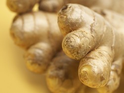 Jahe, Tanaman Berkhasiat Obat yang Kaya Manfaat