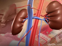 Pengacara Sebut Ada Komunikasi Antara Pelaku dan Dokter di Kasus Jual Ginjal