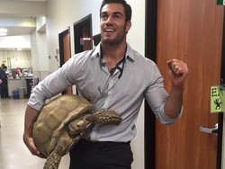 Foto: Inikah Dokter Hewan Paling Tampan di Dunia?