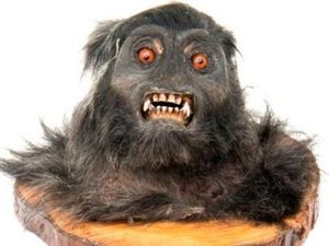 Jual Kepala Monyet dari Indonesia, George Bush Dihukum 14 Bulan Penjara