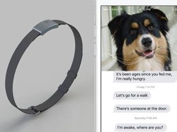 Anjing pun Bisa Ngobrol di WhatsApp