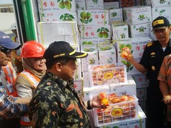 Penyelundupan 59 Ton Jeruk Asal China yang Diaku Buah Pir Digagalkan