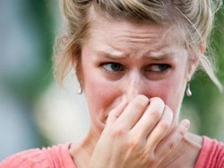 Traveler Tulis Surat Komplain Tentang Kentut Penumpang ke Pramugari