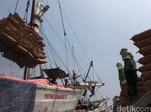 Pertama dalam Sejarah, Semen di Papua Turun Jadi Rp 500 Ribu/Sak Pertama dalam Sejarah, Semen di Papua Turun Jadi Rp 500 Ribu/Sak