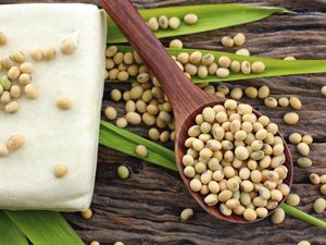 7 Makanan untuk Penderita Anemia, yang Harus Dikonsumsi dan Dihindari 7 Makanan untuk Penderita Anemia, yang Harus Dikonsumsi dan Dihindari