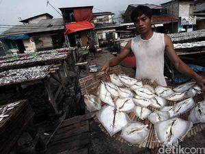 Susi Bikin Asuransi Untuk Nelayan, Begini Skemanya