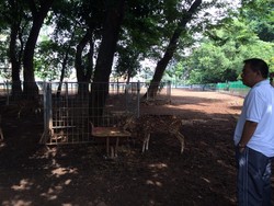 Keliling Kompleks DPR, Akom Minta Perbaikan Sarana Fasilitas Dipercepat