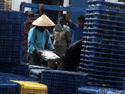 Ini Syaratnya Agar RI Tak Lagi Impor Ikan