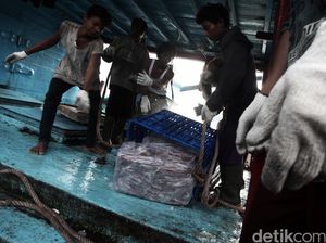 Fokus Susi 2017: Bangun Industri Perikanan di 12 Pulau Terluar