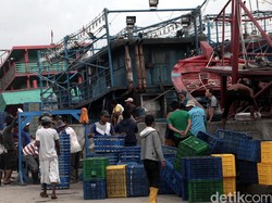 Pemerintah Fokus Bangun Industri Perikanan di 12 Pulau Terluar