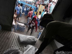 Nilai Ekspor Ikan RI Januari-Agustus 2016 US$ 2,68 M, Naik 3,69%