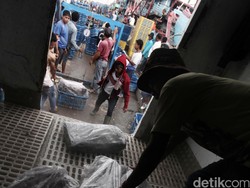 Nilai Ekspor Ikan RI Januari-Agustus 2016 US$ 2,68 M, Naik 3,69%