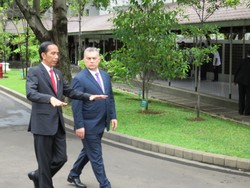 Keakraban Jokowi dan PM Viktor Orban Saat Jalan Kaki Bersama di Istana